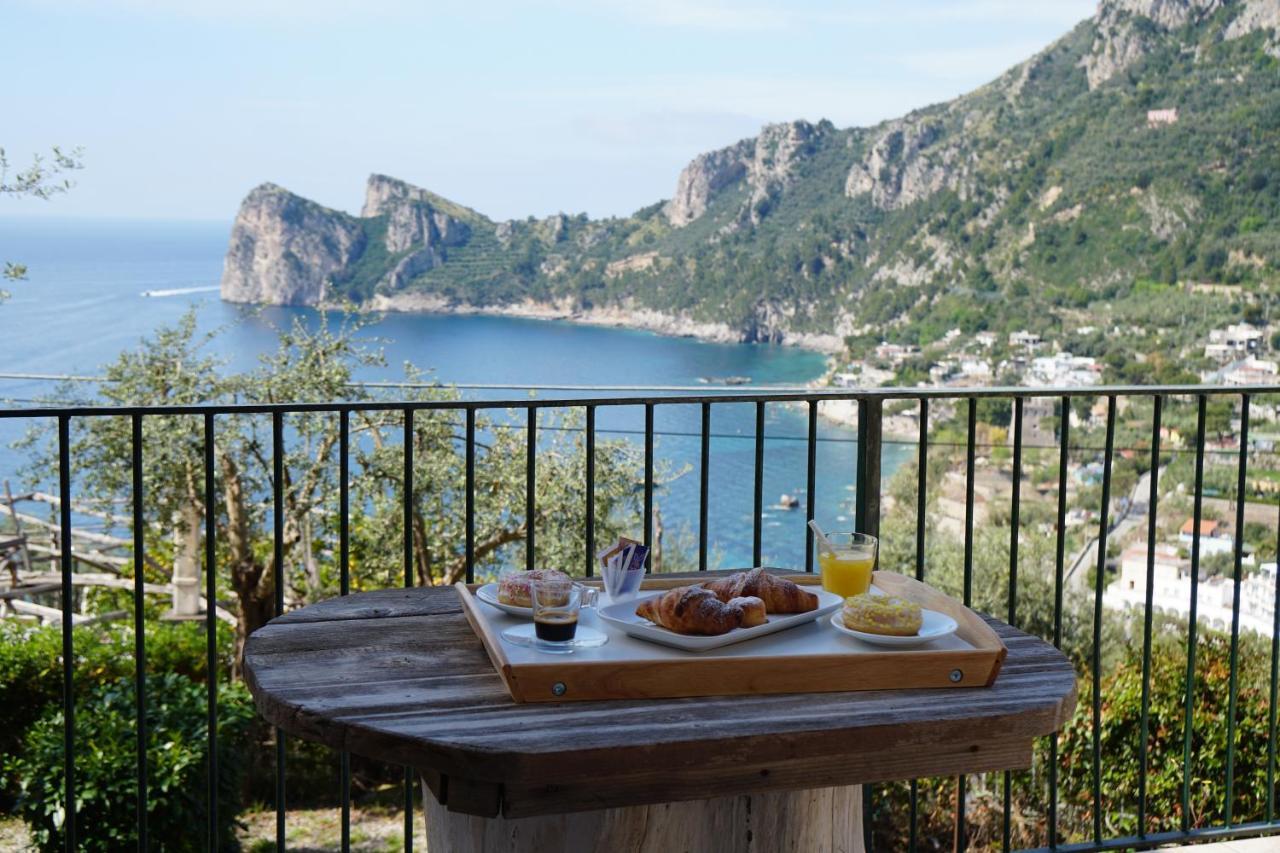 Villaggio Syrenuse Residence Massa Lubrense Luaran gambar