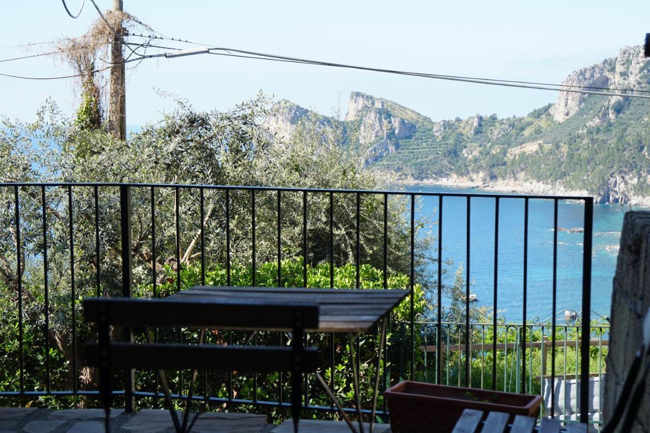 Villaggio Syrenuse Residence Massa Lubrense Luaran gambar